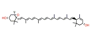 5,6-Epoxy-5,6-dihydro-beta,epsilon-carotene-3,3'-diol